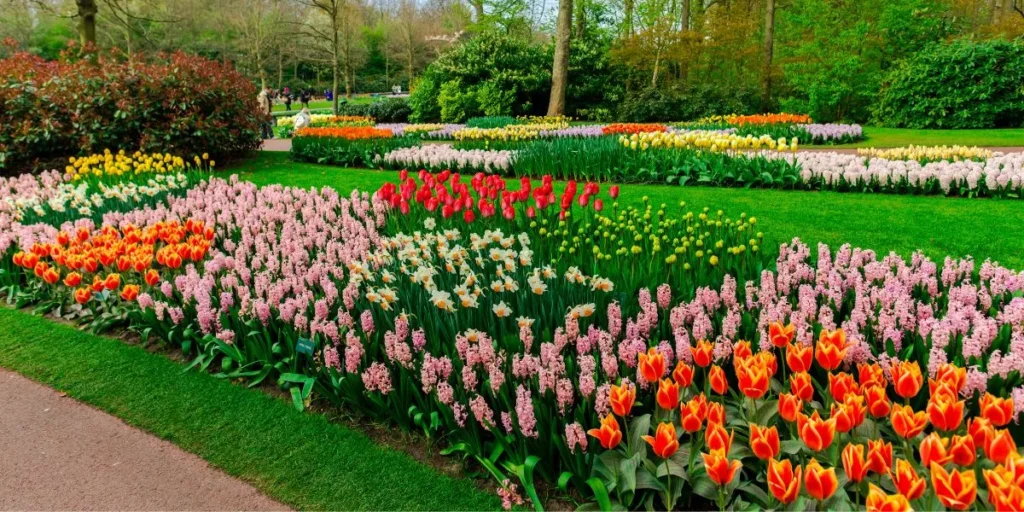 What Are the Latest Trends in Garden Design?