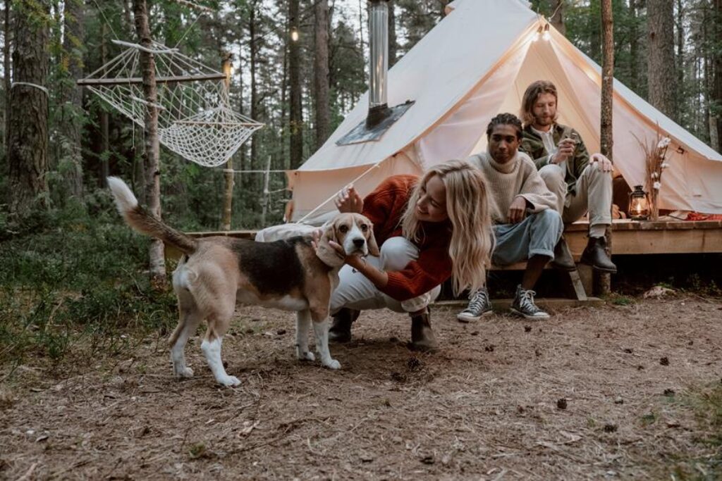What Are the Best Pet Tents for Outdoor Camping With Your Dog? What Are the Best Pet Tents for Outdoor Camping With Your Dog?